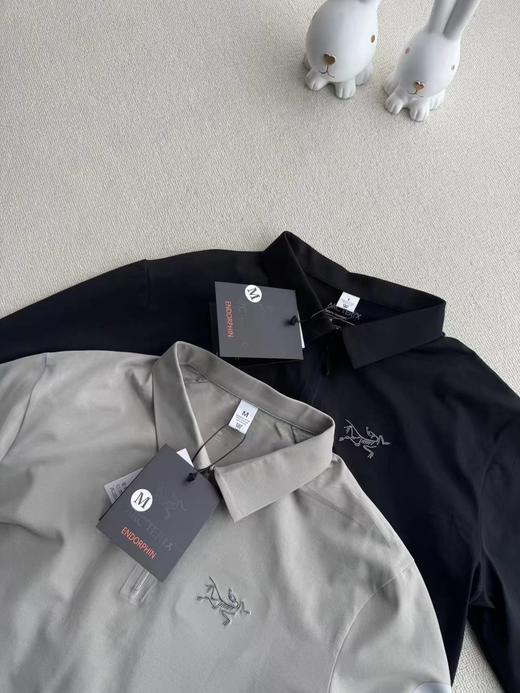 F032067简约百搭颜色耐看男士长袖T恤春秋新款Polo衫 商品图2