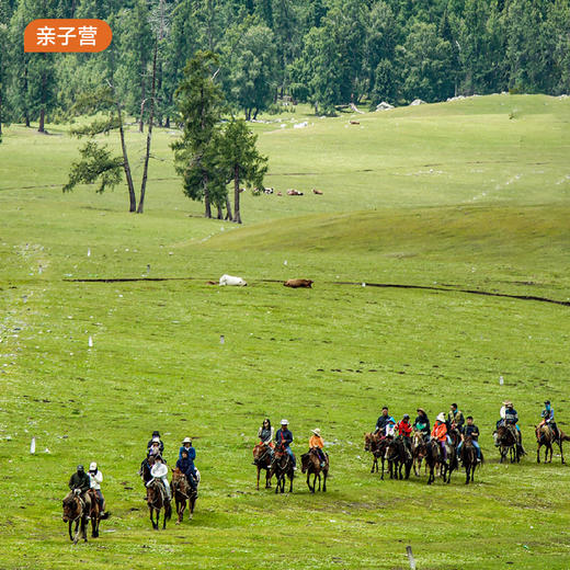 亲子营 | 我们的阿勒泰8天7晚·2026夏令营 商品图0