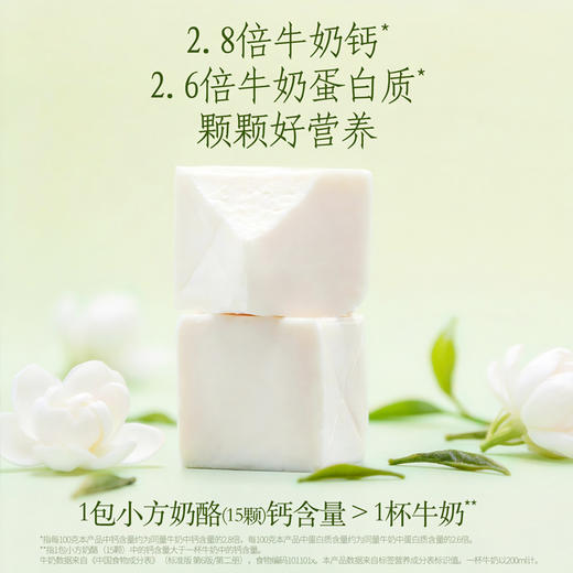 【限时秒杀】春日上新小方奶酪龙井茉莉味90g（15粒）*2袋 一口尝尽春茶与茉莉曼妙风味 商品图6