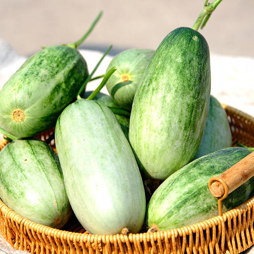 『山东羊角蜜瓜』博洋酥7号，酥脆香甜，肉瓤肥厚 商品图10