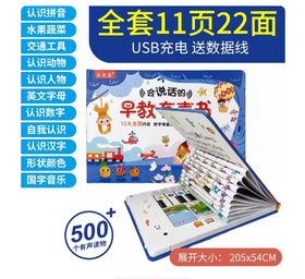 Z985 儿童早教机 11合一升级22面查（充电版）