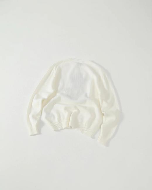 F032041春季新款男女同款提花金毛小狗圆领针织长袖毛衣 商品图5