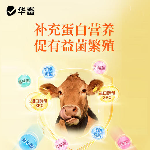 华畜瘤胃宝健胃开胃动力牛羊胀气反刍过料催肥增重开胃饲料添加剂 商品图2