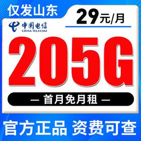 【仅发山东】电信29元205G流量