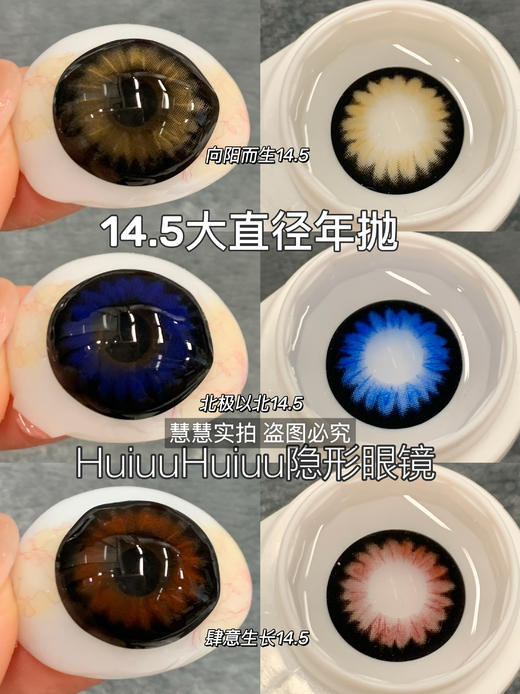 【大直径年抛】混血新品-Sheepcon-向阳而生/北极以北/肆意生长-14.5mm【年抛 0-1000度 含525/575】 商品图1