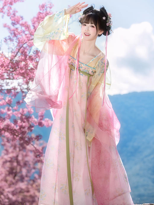 【重回汉唐云音瑶】正品原创唐制齐胸套装披帛春日汉服女款成人 商品图2