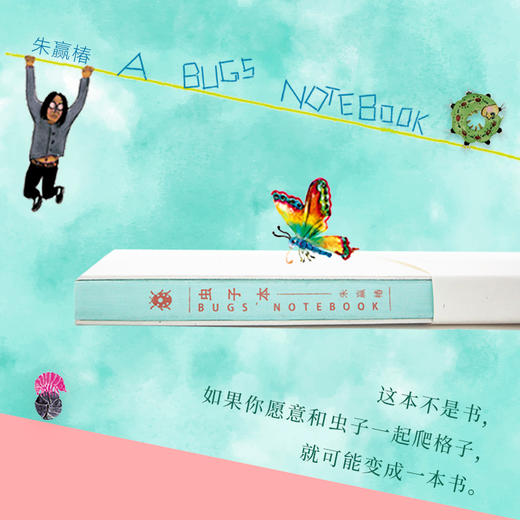 【知嘛专用】虫子间  规格可选 商品图7