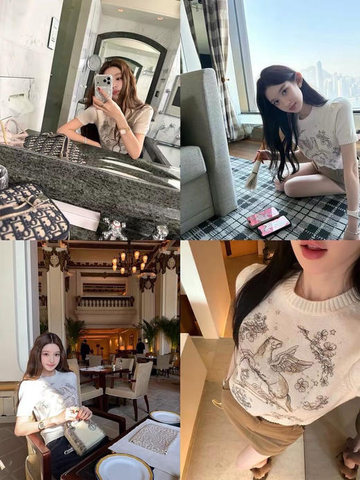 飞马刺绣tee 商品图0