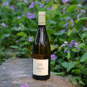 法国卢瓦尔河谷弗朗索瓦克罗谢桑塞尔白葡萄酒2023