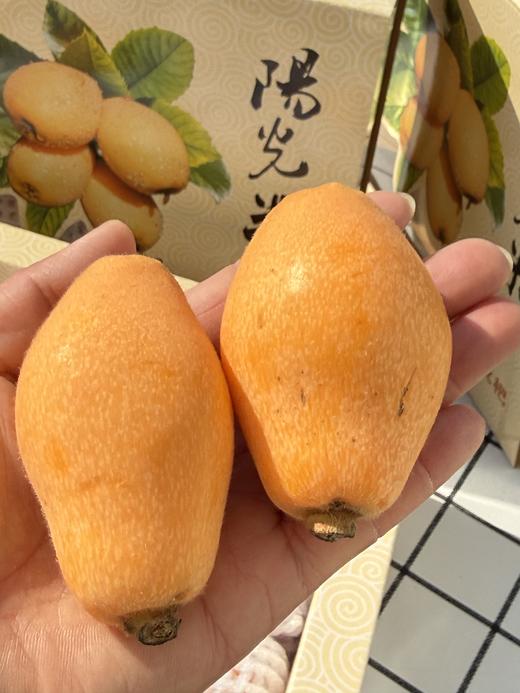 四川米易甜枇杷 商品图3