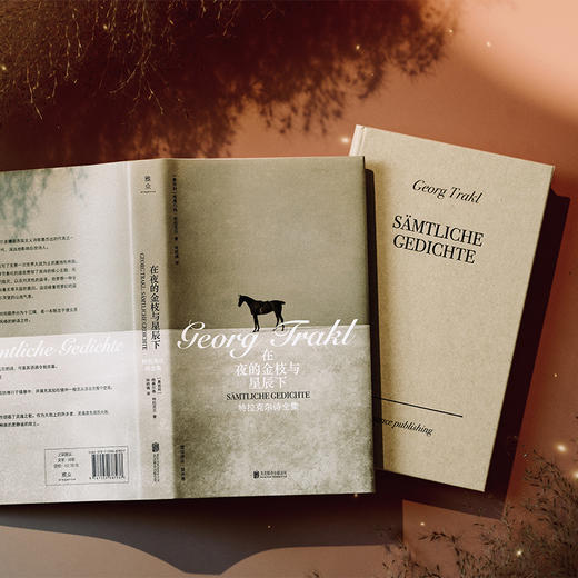 在夜的金枝与星辰下：特拉克尔诗全集 商品图4