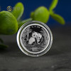2026年熊猫铂金币  铂金猫3克30克100克 商品缩略图0