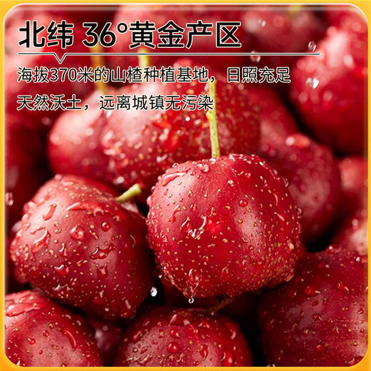 神探伍伍无核山楂干冻干山楂整颗泡水0脂酸甜即食休闲解馋小零食 商品图3