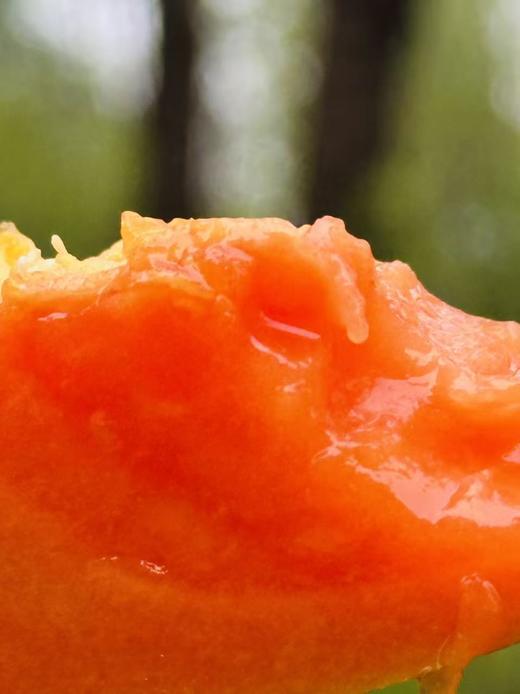 吃海树熟木瓜|比冰糖还甜的木瓜 自然熟的木瓜，拿到手上便能闻到一股浓郁果香红彤彤的果肉娇艳欲滴，滑嫩细腻绵密的口感中充满浓郁的牛奶香丝毫感觉不到纤维，入口即化满满都是汁水，沁人心脾~ 商品图4