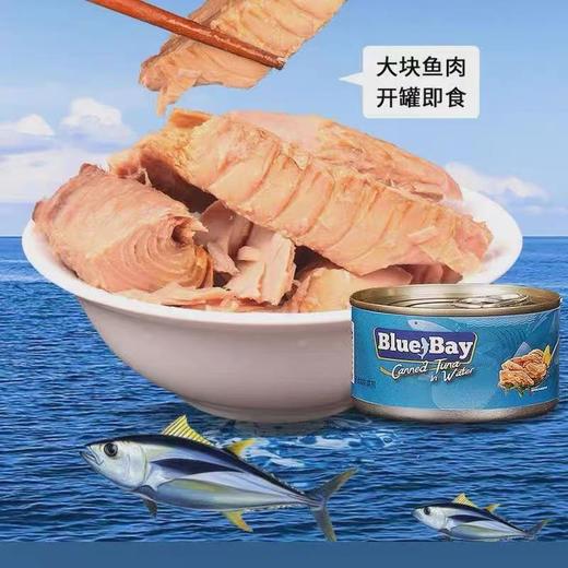 Blue Bay金枪鱼罐头（黄豆油浸/水浸） 商品图4
