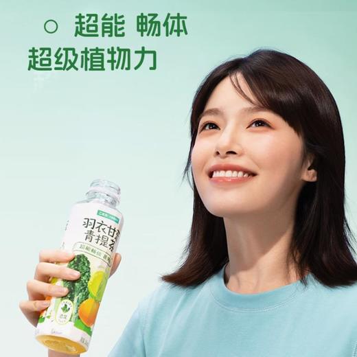 二次方羽衣甘蓝青提茶500ml 商品图1