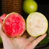 【红白芭乐双拼-送酸梅粉】软心番石榴 新鲜水果 低糖轻卡 商品缩略图1