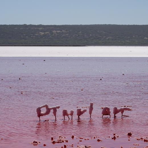放空西澳，世界尽头城市里粉红色野性浪漫【不孤独】 9天8晚 商品图13