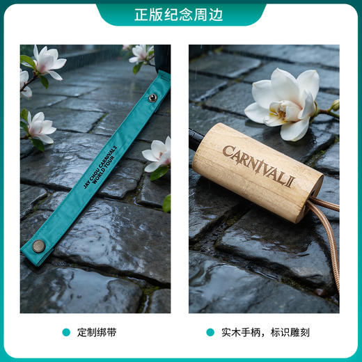 周杰伦MRJ嘉年华水墨伞面晴雨伞折叠加厚结实防晒遮阳伞 商品图3