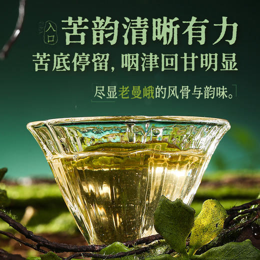 陈升号 2025年御象357g（生茶） 商品图4