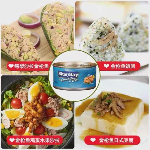 Blue Bay金枪鱼罐头（黄豆油浸/水浸） 商品图3