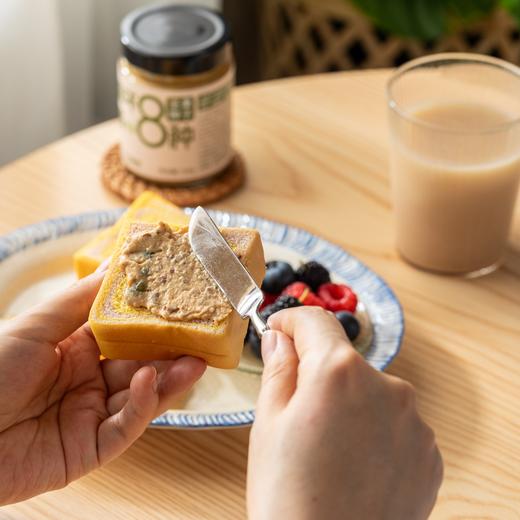 奶酪博士高钙奶酪南瓜小吐司|纯牛奶+奶酪和面，6大零添加，松软好吃又营养 商品图3