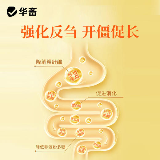 华畜瘤胃宝健胃开胃动力牛羊胀气反刍过料催肥增重开胃饲料添加剂 商品图1