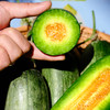 『山东羊角蜜瓜』博洋酥7号，酥脆香甜，肉瓤肥厚 商品缩略图1