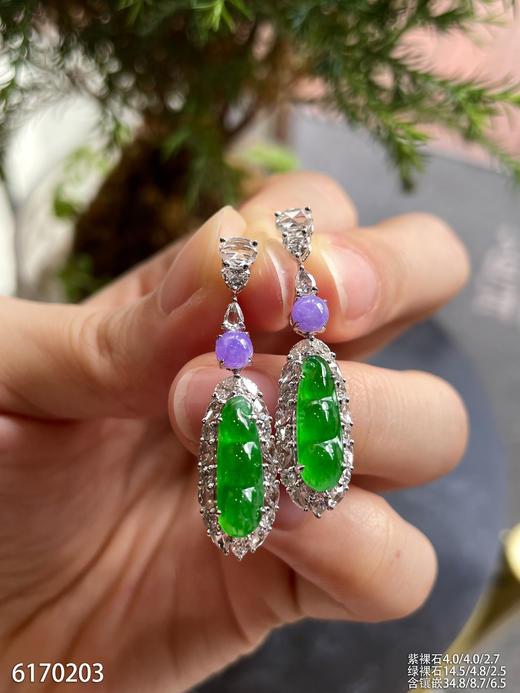 6170203，福豆耳坠。具体价格微信咨询 商品图3