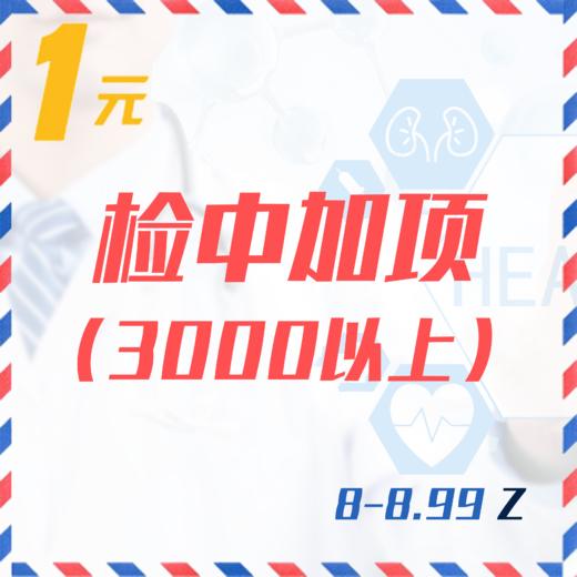 检中加项（3000以上  8-8.99Z） 商品图0