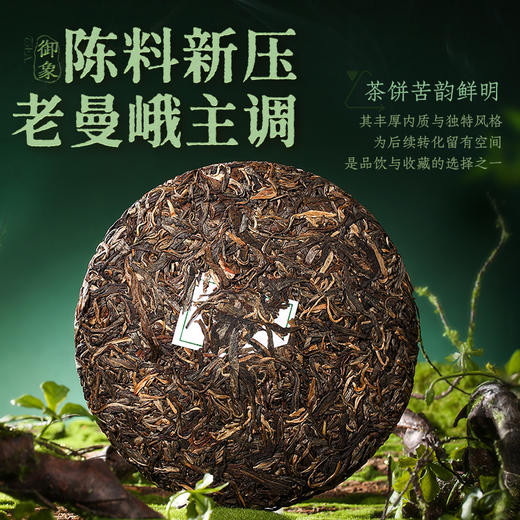 陈升号 2025年御象357g（生茶） 商品图1