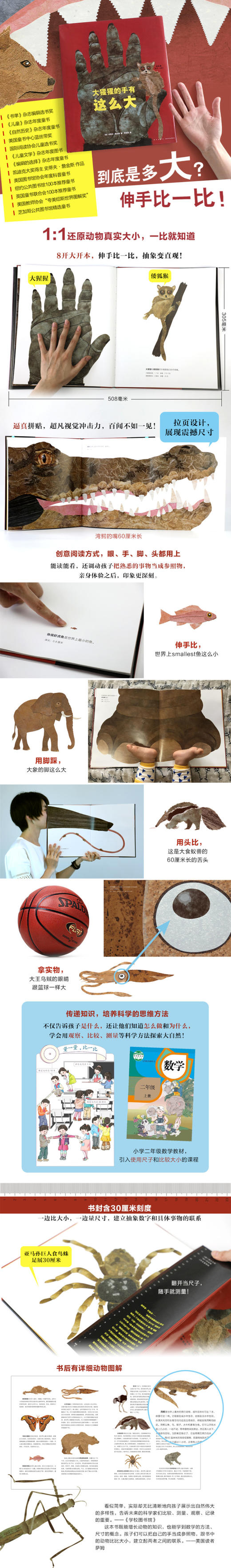 【詹金斯作品】大猩猩的手有这么大 商品图1