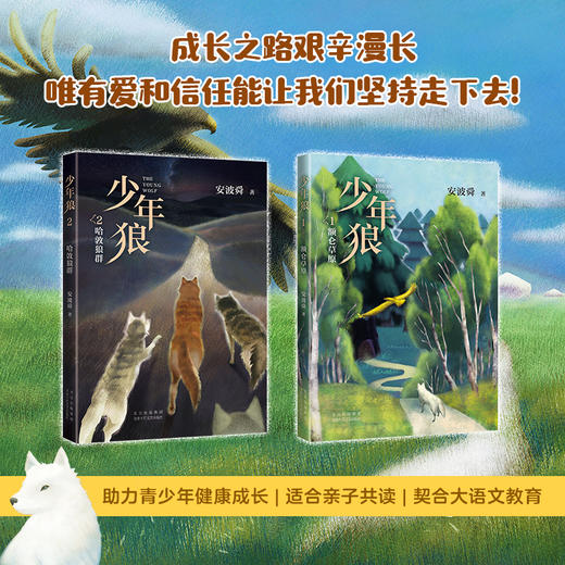 少年狼双册套装 商品图1