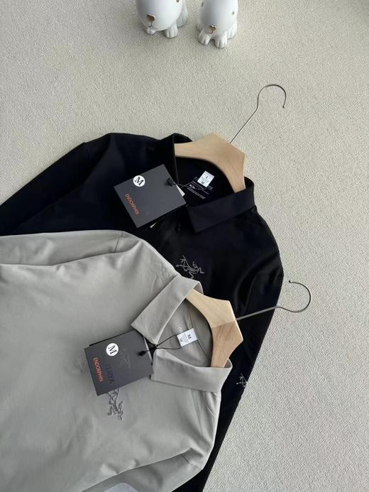 F032067简约百搭颜色耐看男士长袖T恤春秋新款Polo衫 商品图1