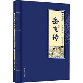 岳飞传