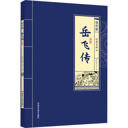 岳飞传 商品图0