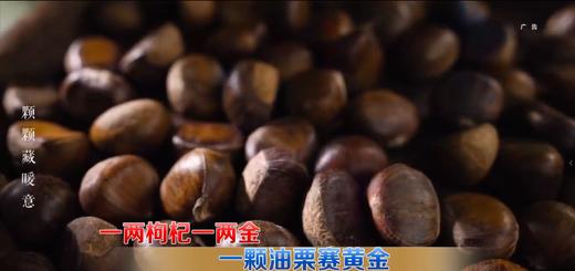 喜栗汇精选油栗仁 商品图0