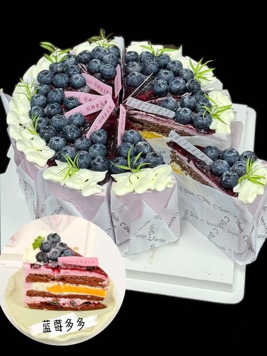 四季风味-蓝莓多多 商品图0