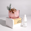 【沁脾香气！满屋幽香】无火扩香石酒店空气清新除味摆件精油香薰礼盒企业礼品精致伴手礼。xa 商品缩略图2