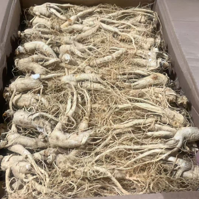 长白山人参个  整个白人参  250克  500克  1kg