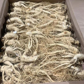长白山人参个  整个白人参  250克  500克  1kg