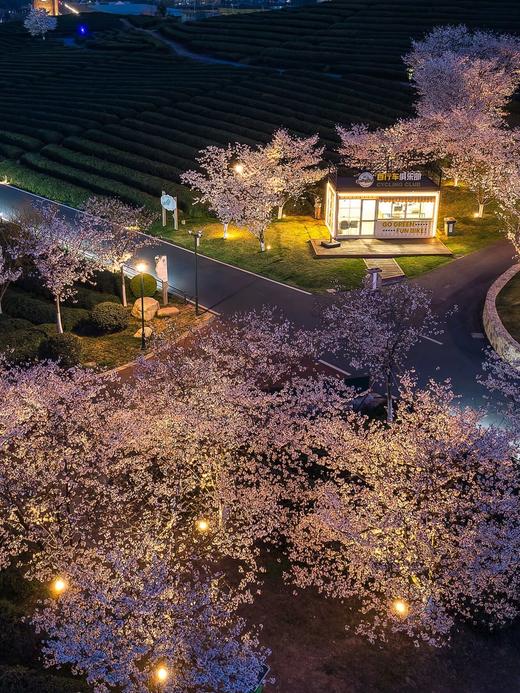 花田美地丨武义花之秀庄园酒店/安琪儿/丹尼尔酒店×1晚或2晚套餐 商品图7