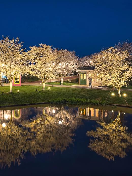 花田美地丨武义花之秀庄园酒店/安琪儿/丹尼尔酒店×1晚或2晚套餐 商品图4