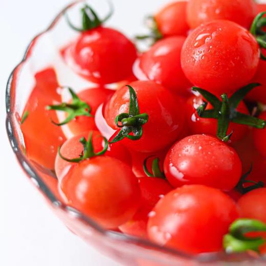 釜山88小番茄，正宗千禧玲珑圣女果，迷你樱桃番茄，超甜小西红柿小蕃茄 商品图2