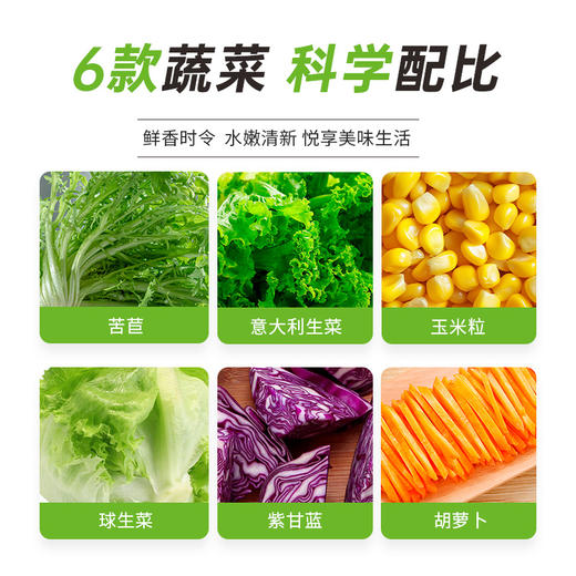 一号农场开袋即食田园风情蔬菜沙拉120g*3送芝麻酱包邮 商品图2