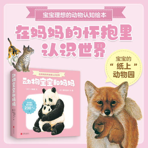 动物宝宝和妈妈（全7册） 商品图0