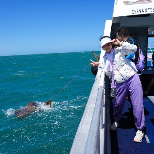 放空西澳，世界尽头城市里粉红色野性浪漫【不孤独】 9天8晚 商品图5