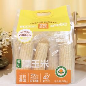 【蒙粮农老头】有机白糯玉米 内蒙沙土地 只有够新鲜 才有玉米味 非速冻 非转基因
