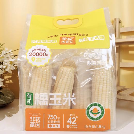 【蒙粮农老头】有机白糯玉米 内蒙沙土地 只有够新鲜 才有玉米味 非速冻 非转基因 商品图0