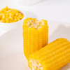 【蒙粮农老头】有机黄糯玉米 内蒙沙土地 只有够新鲜 才有玉米味 非速冻 非转基因 商品缩略图3